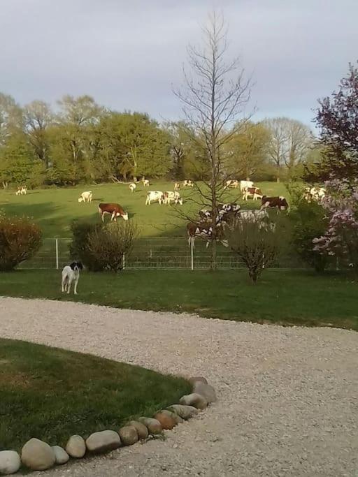 Dependance Pour 1 A 4 Pers Au Calme Dans Propriete Marboz Exterior foto